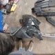 KMHD74LF3LU953931 2020 Hyundai Elantra Se auction photo thumbnail 18