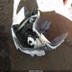 3C4NJDCN2RT585651 2024 Jeep Compass Limited 4X4 auction photo thumbnail 12