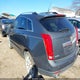 3GYFNDE32DS604471 2013 Cadillac Srx Performance Collection auction photo thumbnail 3