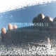 3VWRM71K78M058519 2008 Volkswagen Jetta Se/Sel auction photo thumbnail 9