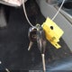 JTEBU5JR3A5009282 2010 Toyota 4Runner Sr5 V6 auction photo thumbnail 11