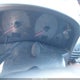 JNKCV54E43M203132 2003 Infiniti G35 Base W/Leather auction photo thumbnail 7