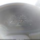 JH4DB7653XS002698 1999 Acura Integra Ls auction photo thumbnail 7