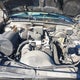 1GYEK63R1YR203185 2000 Cadillac Escalade Standard auction photo thumbnail 10