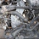 JKAKXGJC2NA027895 2022 Kawasaki Kx450 F auction photo thumbnail 8