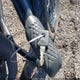 1HD1CZ3437K459678 2007 Harley-Davidson Xl1200 N auction photo thumbnail 11