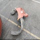 JF1ZNAA14E8709096 2014 Scion Fr-S Monogram auction photo thumbnail 12