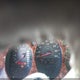 19UUA56743A039366 2003 Acura Tl 3.2 auction photo thumbnail 7