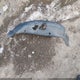 5FNRL38608B005284 2008 Honda Odyssey Ex-L auction photo thumbnail 12