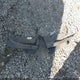 5YFEPMAE2NP341951 2022 Toyota Corolla Le auction photo thumbnail 12