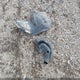 JM1BK323551269673 2005 Mazda Mazda3 S auction photo thumbnail 12