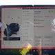 7SAYGDEE1SF221592 2025 Tesla Model Y Long Range Dual Motor All-Wheel Drive auction photo thumbnail 18