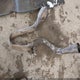 5TFDY5F11AX147430 2010 Toyota Tundra Grade 5.7L V8 auction photo thumbnail 12