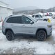 1C4PJMDN7KD392124 2019 Jeep Cherokee Limited 4X4 auction photo thumbnail 13