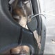 1N6SD11S6SC439799 1995 Nissan Truck E/Xe auction photo thumbnail 11