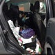 MAJ6S3GL1KC275826 2019 Ford Ecosport Se auction photo thumbnail 8