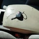 4T1BE46K37U175190 2007 Toyota Camry Le auction photo thumbnail 11