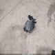 5NMJACDEXRH350810 2024 Hyundai Tucson Se auction photo thumbnail 12