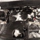 5FNYF4H89AB029485 2010 Honda Pilot Touring auction photo thumbnail 10