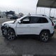 1C4PJMDX2LD559167 2020 Jeep Cherokee Limited 4X4 auction photo thumbnail 14