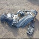JN8BT3AA7PW409987 2023 Nissan Rogue S Fwd auction photo thumbnail 12