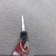 1GTEC14M9WZ504924 1998 GMC Sierra 1500 Sl Wideside auction photo thumbnail 11