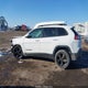 1C4PJLLBXKD376467 2019 Jeep Cherokee Altitude Fwd auction photo thumbnail 14