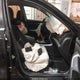 1N4AL3AP6FC289567 2015 Nissan Altima 2.5 auction photo thumbnail 5