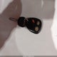 1GKEK63U34J179107 2004 GMC Yukon Denali auction photo thumbnail 11