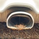 WP0CA2984YU621633 2000 Porsche Boxster auction photo thumbnail 6