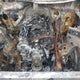 2GCUKGED7S1161775 2025 Chevrolet Silverado 1500 4Wd Short Bed Ltz auction photo thumbnail 10