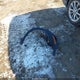 7FARS4H77RE015141 2024 Honda Cr-V Ex-L Awd auction photo thumbnail 12
