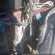 5TDKK3DC3BS127124 2011 Toyota Sienna Le V6 auction photo thumbnail 17
