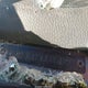 1D7HA18P87J506709 2007 Dodge Ram 1500 Slt auction photo thumbnail 9