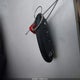 KNMAT2MV8GP726347 2016 Nissan Rogue Sv auction photo thumbnail 11