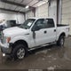 1FTRW14899FA66553 2009 Ford F-150 Xl/Xlt auction photo thumbnail 14