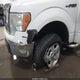 1FTRW14899FA66553 2009 Ford F-150 Xl/Xlt auction photo thumbnail 6