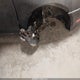 3VWPP7AJ6DM677533 2013 Volkswagen Jetta Sportwagen 2.5L S auction photo thumbnail 13