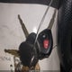 JTEBU5JR6J5602070 2018 Toyota 4Runner Sr5 Premium auction photo thumbnail 11