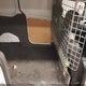 NM0LS7E25K1384202 2019 Ford Transit Connect Xl auction photo thumbnail 8
