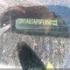 3N1AB7AP5FL650122 2015 Nissan Sentra Sv auction photo thumbnail 18