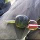 3FADP4EJ7BM113214 2011 Ford Fiesta Se auction photo thumbnail 11