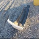 5TBRT34125S461071 2005 Toyota Tundra Sr5 V8 auction photo thumbnail 12