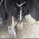 3GCPDCEK2PG239103 2023 Chevrolet Silverado 1500 4Wd Short Bed Custom Trail Boss auction photo thumbnail 19