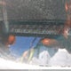 19XFB2F5XCE350010 2012 Honda Civic Lx auction photo thumbnail 9