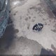 3GKALTEV4LL247731 2020 GMC Terrain Awd Sle auction photo thumbnail 11
