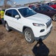 1C4PJMDS2FW552314 2015 Jeep Cherokee Limited auction photo thumbnail 1