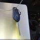JN8AZ2KR1ET351009 2014 Nissan Cube 1.8 S/1.8 Sl auction photo thumbnail 11