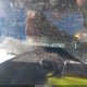 2HKRW2H5XLH637907 2020 Honda Cr-V Awd Ex auction photo thumbnail 17
