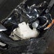 3FA6P0HD9JR264600 2018 Ford Fusion Se auction photo thumbnail 6